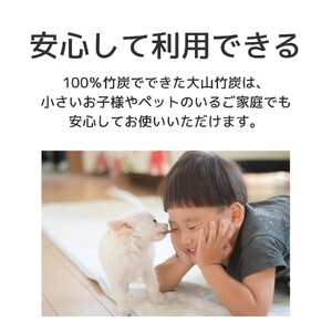 KR-06 鳥取県産 大山 竹炭 小袋10袋セット 除湿 消臭 湿気対策 誠守(まさもり)