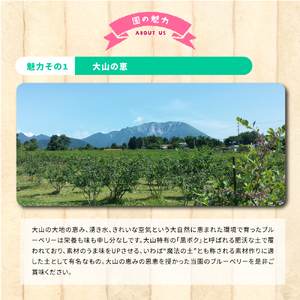 KB-01 【期間限定】大山のめぐみ摘みたてブルーベリー 1250g