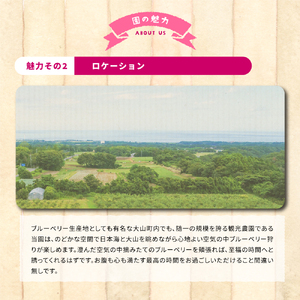 KB-01 【期間限定】大山のめぐみ摘みたてブルーベリー 1250g