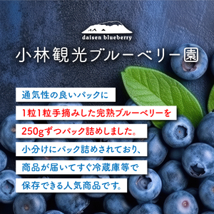 KB-01 【期間限定】大山のめぐみ摘みたてブルーベリー 1250g