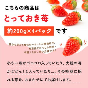 MI-03 とっておき苺【約200g×4パック】