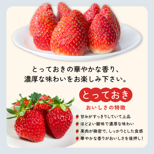 MI-03 とっておき苺【約200g×4パック】