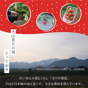 MI-03 とっておき苺【約200g×4パック】