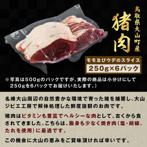 GB-03　猪肉　1.5kg（250g×6パック）