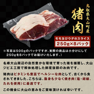 GB-04　猪肉　2kg（250g×8パック）