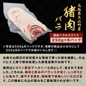 GB-08　猪肉　バラ　2kg（250g×8パック）