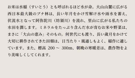 【先行予約】KT-01 大山カラス天狗 大山のこしひかり5㎏【令和8年10月以降発送】
