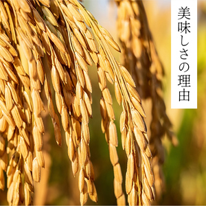【先行予約】KT-03 大山のこしひかり１０kg定期便3回コース【令和8年10月以降発送】