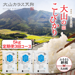 【先行予約】KT-04 大山のこしひかり５kg定期便3回コース【令和8年10月以降発送】