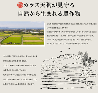 【先行予約】KT-04 大山のこしひかり５kg定期便3回コース【令和8年10月以降発送】