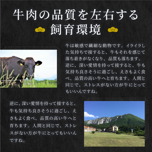 HA-01　肉質日本一の和牛「大山黒牛」　切り落とし600g