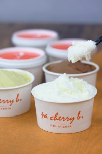 PC-02　pa cherry b.ジェラート6種12個セット