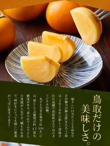 JK-01　大きくて甘い柿「輝太郎（きたろう）」（3ｋｇ）