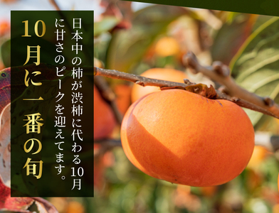 JK-01　大きくて甘い柿「輝太郎（きたろう）」（3ｋｇ）