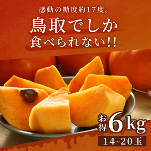 JK-02　大きくて甘い柿「輝太郎（きたろう）」（6ｋｇ）