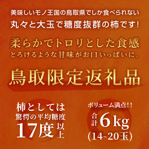JK-02　大きくて甘い柿「輝太郎（きたろう）」（6ｋｇ）