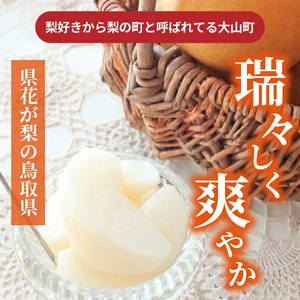 DS-22 訳あり大山町産梨 ５ｋｇ【品種はおまかせ】