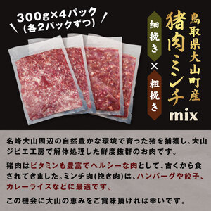 GB-13　猪肉ミンチ（ミックス）1.2kg（300g×4パック）