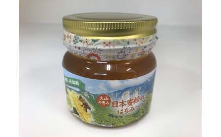 MS-81　大山町産プレミアムはちみつ「日本蜜蜂のはちみつ」（290g×1本）