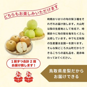 DS-23 梨食べ比べ定期便（2回コース）