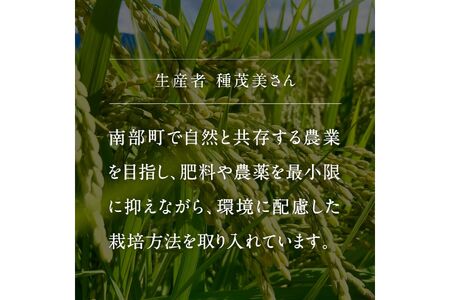 鳥取県南部町産「無洗米きぬむすめ」10kg(5kg×2袋) 令和5年産　板谷米穀店