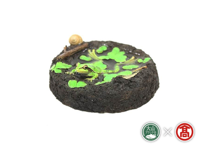 BV1＜カエル工房＞カエルフィギュア｢雨蛙の水浴　模様あり」（大山ブランド会）