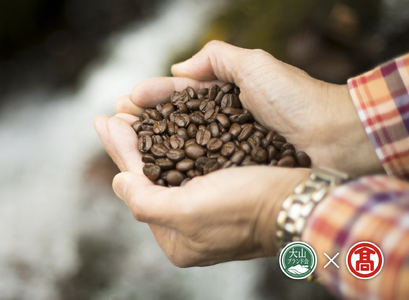 CY13＜奥大山の水洗い珈琲＞コーヒー（豆）詰合せC（大山ブランド会）