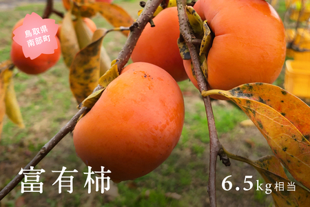 富有柿(6.5kg箱)2026年11月出荷予定<数量限定>【先行予約】
