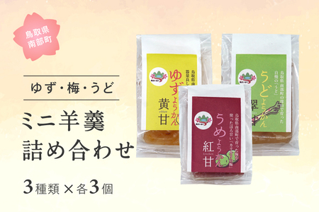 ミニ羊羹3種セット (ゆず・梅・うど)　3種類×各3個 合計9個 羊羹 スイーツ 和スイーツ ようかん 鳥取県南部町 4,150円