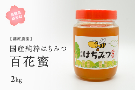 里地・里山のめぐみ 純粋ハチミツ（百花蜜） 1kg×2本