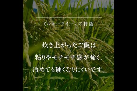 鳥取県南部町産 ミルキークイーン 5kg 令和5年産 白米　精米　玄米　岩崎米穀