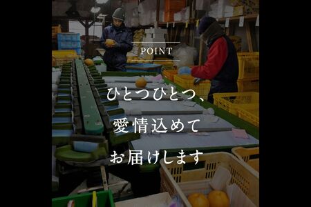 鳥取県南部町産　井田農園の新興[梨]（3kg箱）＜10月～出荷予定＞ 氷温保存