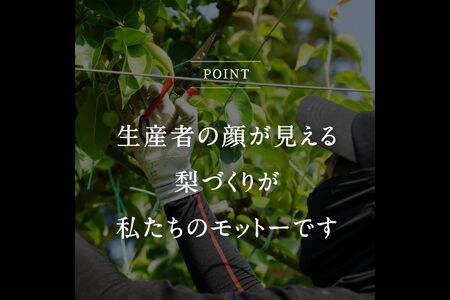 鳥取県南部町産　井田農園のあたご[梨]（2.5kg箱）＜11月～出荷開始＞　氷温保存