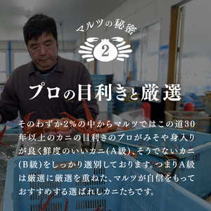 【北海道・沖縄・離島配送不可】蟹屋の釜茹で紅ずわい蟹２杯セット(大) 500～600g×2枚 ベニズワイガニ 紅ずわいがに カニ かに 境港 マルツ ボイルズワイガニ 鳥取県日南町