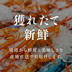 【北海道・沖縄・離島配送不可】【タグ付き】活〆ボイル松葉蟹(大) 800g以上 松葉ガニ 松葉がに カニ かに 境港 マルツ 鳥取県日南町