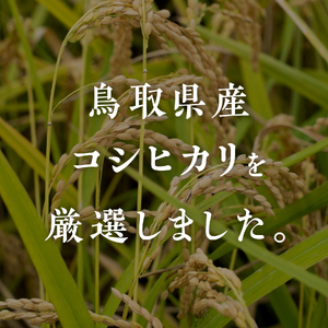 令和7年産 新米 先行予約 鳥取県産コシヒカリ 20kg(5kg×4袋) 米 お米 こめ コメ 精米 日南町精米 鳥取県日南町