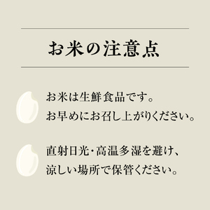 令和7年産 新米 先行予約 鳥取県産コシヒカリ 10kg×6ヵ月 合計60kg 定期便 米 お米 こめ コメ 精米 日南町精米 鳥取県日南町
