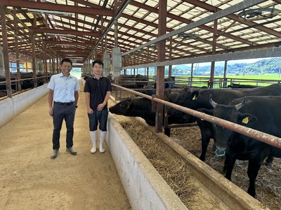 A5ランク 鳥取和牛ももスライス 400g 牛肉 精肉 肉 カタセイ 黒毛和牛 和牛 モモスライス ももスライス 和牛らんぷ 牛もも 赤身 黒毛和牛 5等級 スライス 牛肉 すき焼き 高級肉 和牛 お肉 やわらかい