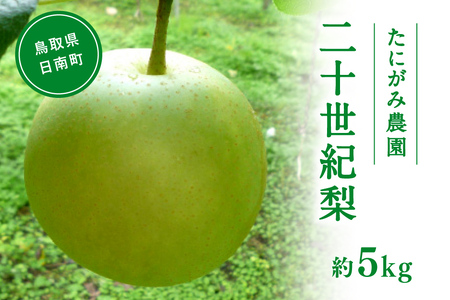 【先行予約】たにがみ農園 二十世紀梨 5.0kg(12～18玉) 梨 なし フルーツ 果物 くだもの 鳥取県 佐治 梨 なし ナシ