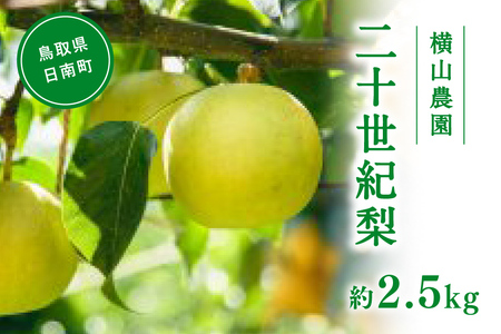 【先行予約】横山農園 二十世紀梨 2.5kg(5～9玉) 梨 なし フルーツ 果物 くだもの 鳥取県 佐治 梨 なし ナシ
