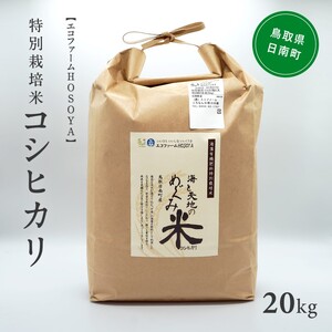 新米 令和7年産 海と天地のめぐみ米(コシヒカリ)白米 20kg エコファームHOSOYA 鳥取県日南町