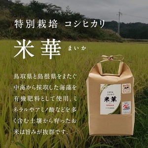 アウトレット送料無料 米風土鳥取 コシヒカリ5kg セール 格安 独創的 Marc Steffen De