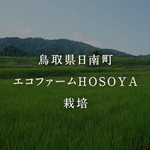 令和7年産 海と天地のめぐみ米（コシヒカリ） 白米10kg エコファームHOSOYA 鳥取県日南町