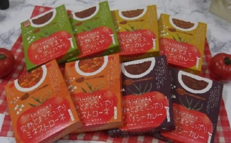 星降る里日南町の完熟とまとたっぷりレトルト4種8個セット