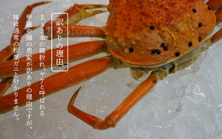 訳あり足1本折れボイル松葉ガニ（600g～700gを1枚）OM-31 わけあり 松葉ガニ 松葉がに かに 蟹 カニ 鳥取県境港 御来屋漁港