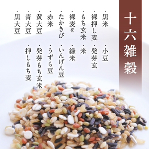 【2026年2月以降順次発送】十六雑穀ごはん 雑穀パックご飯 160g×36個 レトルト 雑穀パックごはん 雑穀 鳥取県日野町産コシヒカリ 米 こめ コメ おこめのみかた