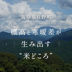 【2025年3月以降順次発送】【お試し】鳥取県日野町産コシヒカリ 玄米ごはん 玄米パック 160g×12個入り おこめのみかた パックごはん パックご飯