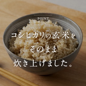 【お試し】鳥取県日野町産コシヒカリ 玄米ごはん 玄米パック 160g×12個入り おこめのみかた パックごはん パックご飯