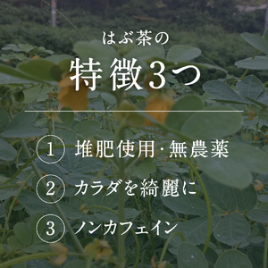 焙煎はぶ茶 100g×2袋(合計200g) 彌生ファーマー お茶 茶 ハブ茶 ハーブティー 鳥取県日野町