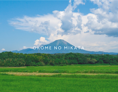 【5営業日以内発送】新米 令和7年産 鳥取県産コシヒカリ 5kg 返礼品 米 お米 おこめ こめ こしひかり おこめのみかた 鳥取県日野町